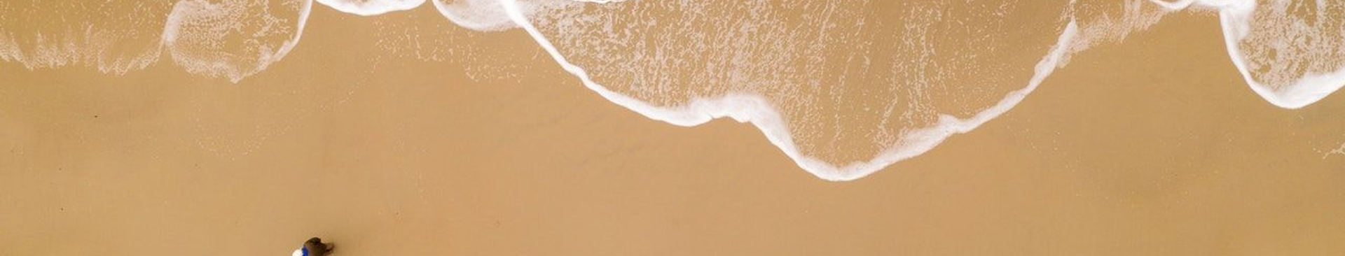Desert Rose Tourism