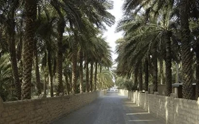 Desert Rose Tourism